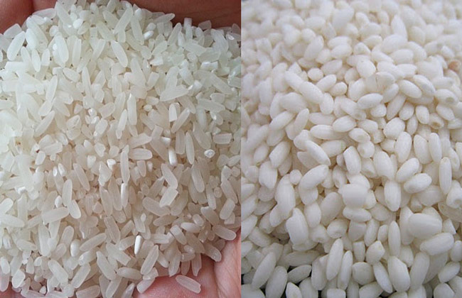 chọn gạo nấu cháo