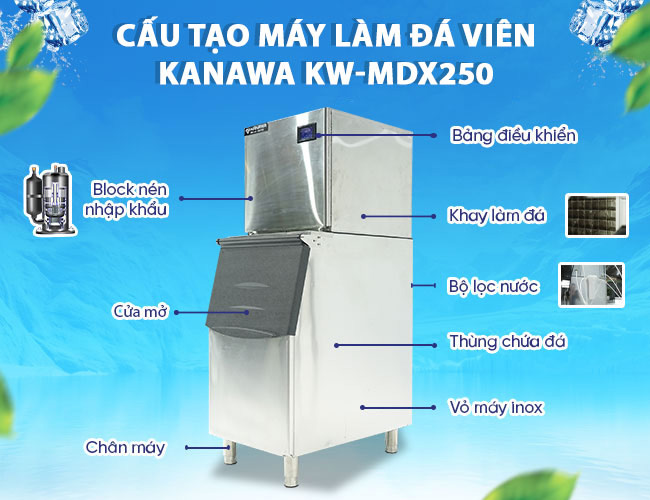 cấu tạo máy làm đá viên 250kg