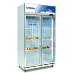 Tủ mát 2 cánh 2CM-1038L