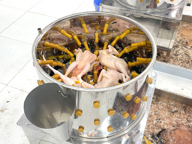 Ảnh thực tế sử dụng