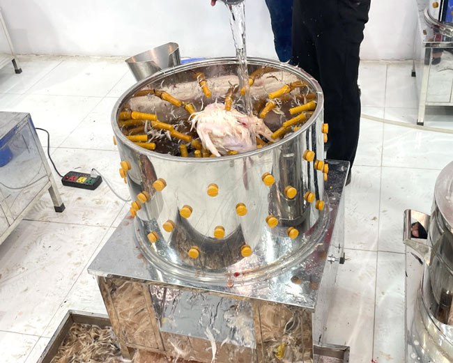 Làm sạch lông nhanh chóng