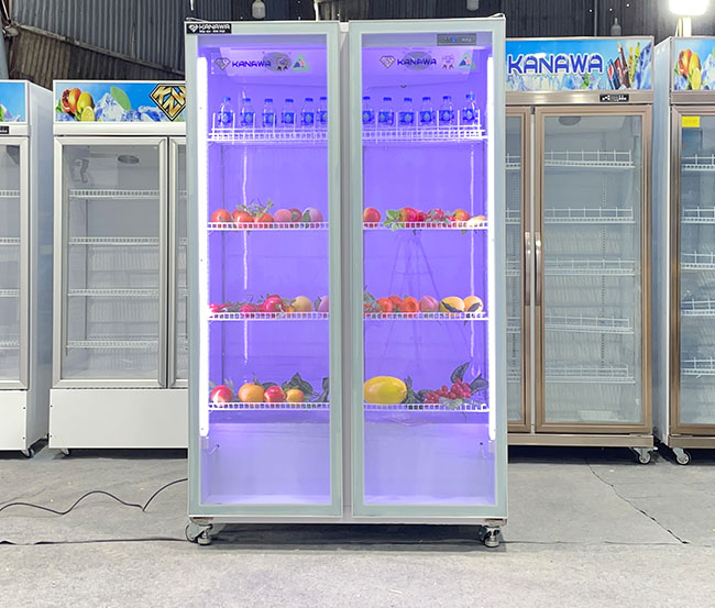 C&aacute;c t&iacute;nh năng vượt trội của tủ m&aacute;t 2 c&aacute;nh 2CMDT