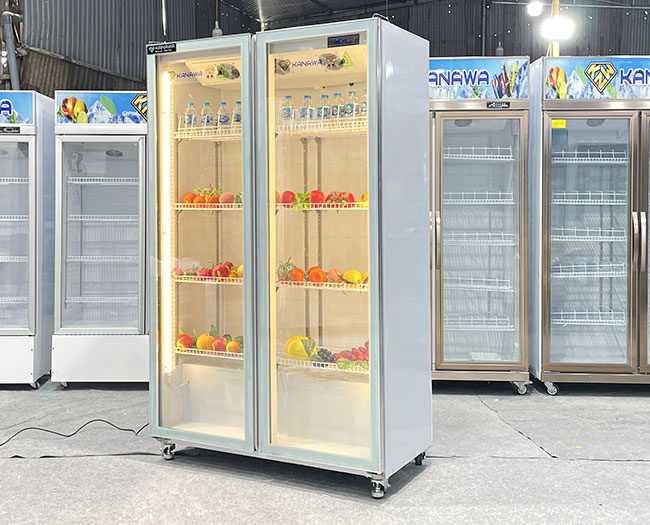 Lợi &iacute;ch vượt trội của tủ m&aacute;t 2 c&aacute;nh 