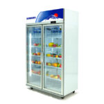Tủ mát 2 cánh LC-1200FS 875L