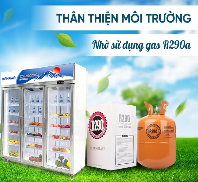 An toàn và thân thiện