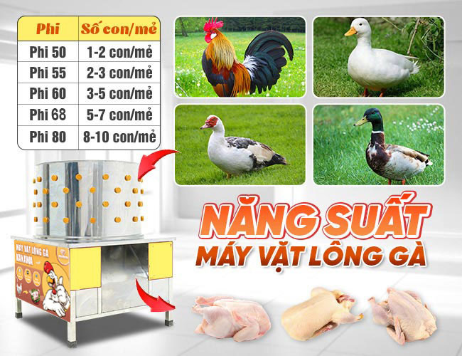 Năng suất máy gà