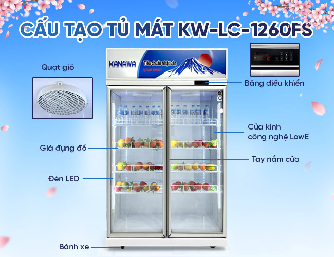 Cấu tạo sơ bộ