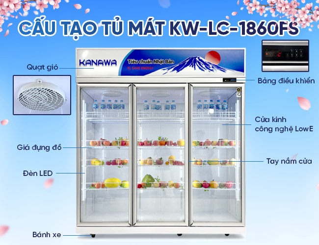 Cấu tạo cơ bản