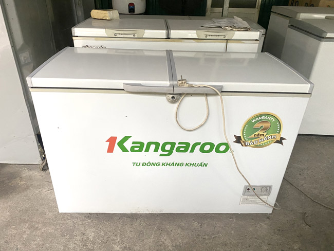 Thương hiệu tủ đông Kangaroo