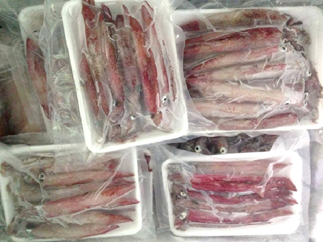 Cất trữ mực