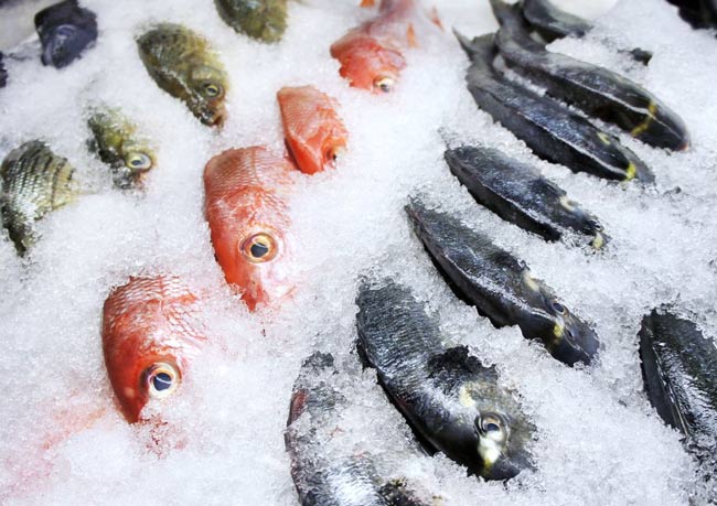 Ướp muối hải sản