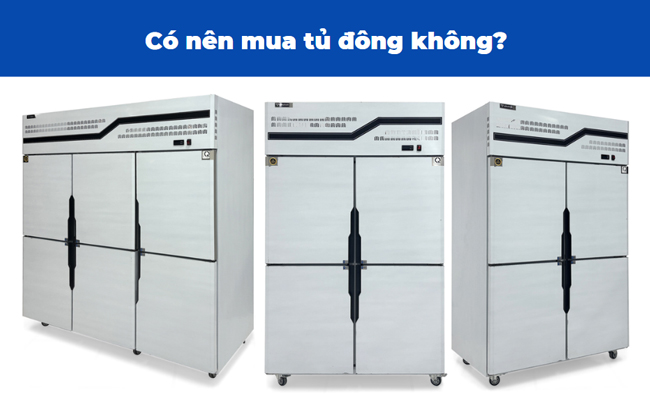 Có nên mua tủ đông không?