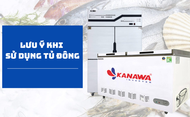 5+ Điều cần lưu ý khi sử dụng tủ đông bạn nhất định phải biết
