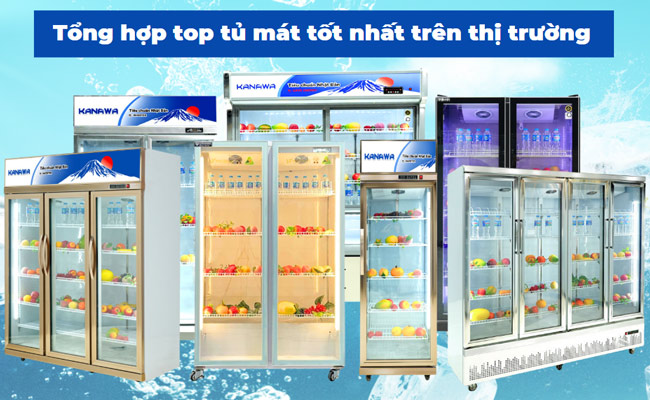 Tổng hợp Top Tủ mát tốt nhất trên thị trường hiện nay