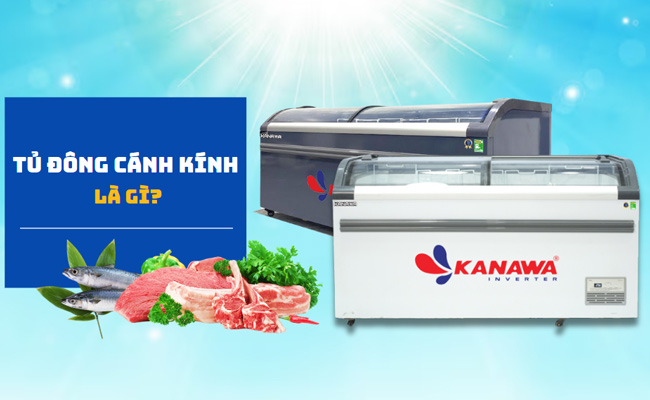 Tủ đông cánh kính là gì? Ưu nhược điểm và TIPs chọn mua