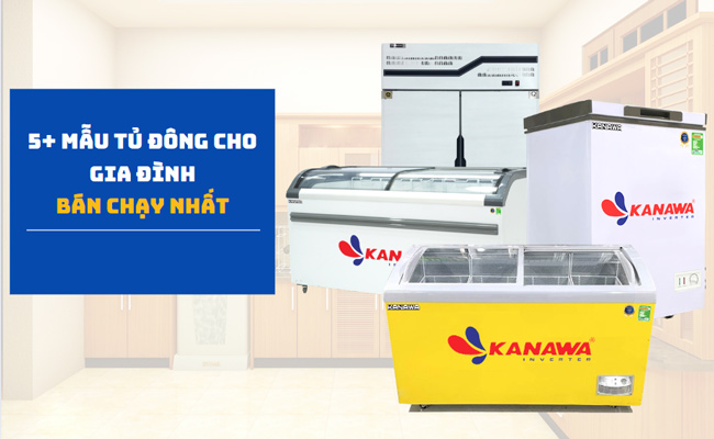 Toplist 5+ mẫu tủ đông cho gia đình bán chạy nhất hiện nay