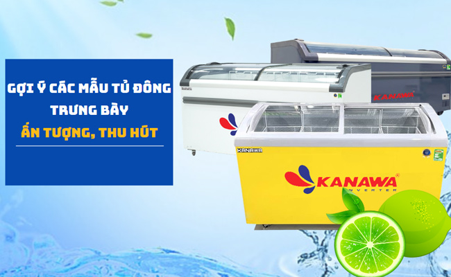 Gợi ý các mẫu tủ đông trưng bày siêu Ấn tượng, Thu hút thực khách