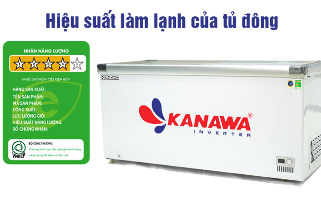 Hiệu suất làm lạnh của tủ đông: Ý nghĩa và Ứng dụng từ A – Z