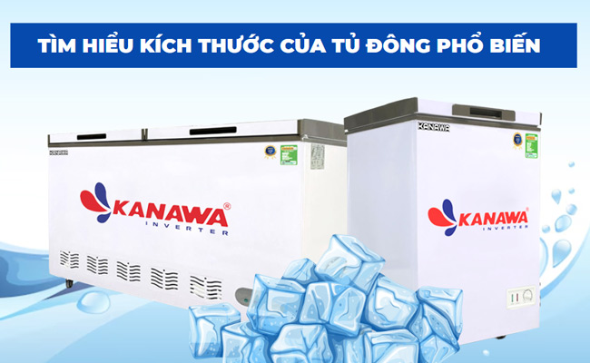 Các kích thước của tủ đông phổ biến, được chọn mua nhiều nhất hiện nay