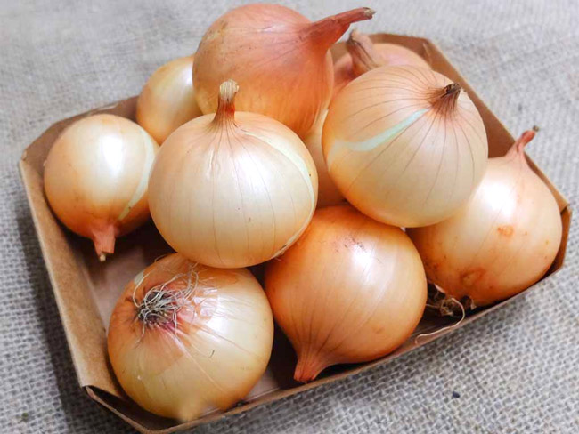 Hành tây có thể bị biến đổi cấu trúc tế bào khi bảo quản lạnh