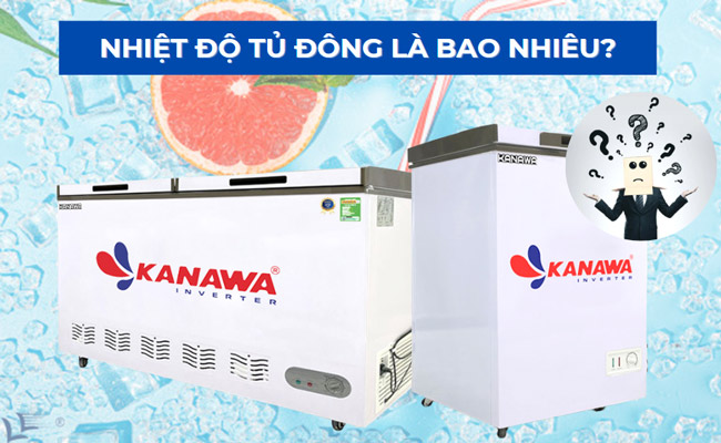 Nhiệt độ tủ đông là bao nhiêu? Thực phẩm nào không nên trữ đông?