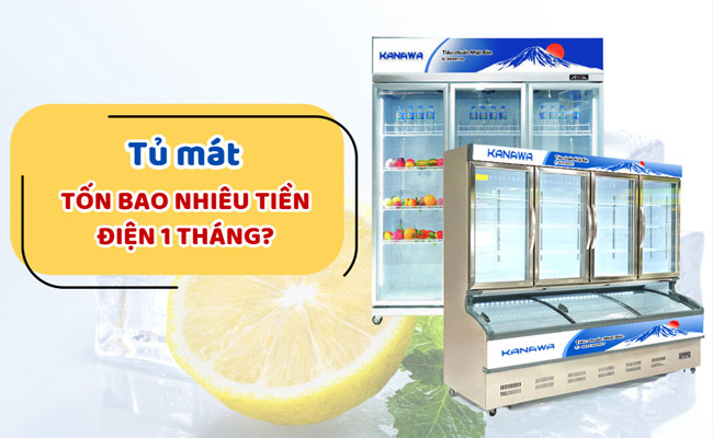Tủ mát tốn bao nhiêu tiền điện 1 tháng? Mẹo sử dụng tiết kiệm hiệu quả