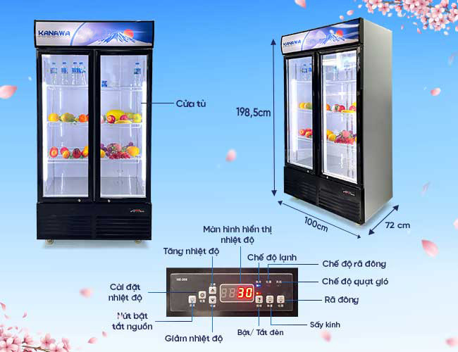 Cấu tạo và thông tin sơ bộ