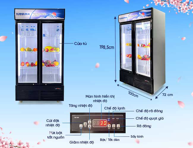 Cấu tạo và thông tin sơ bộ