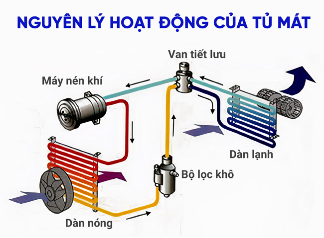 Nguyên lý vận hành khi tủ mát hoạt động
