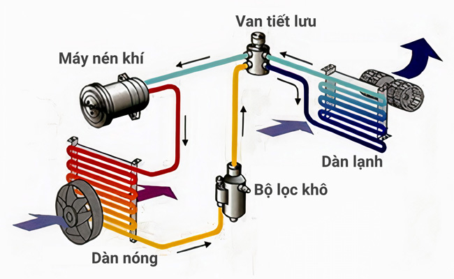Nguyên lý hoạt động của tủ mát ra sao? Lý giải dễ hiểu nhất