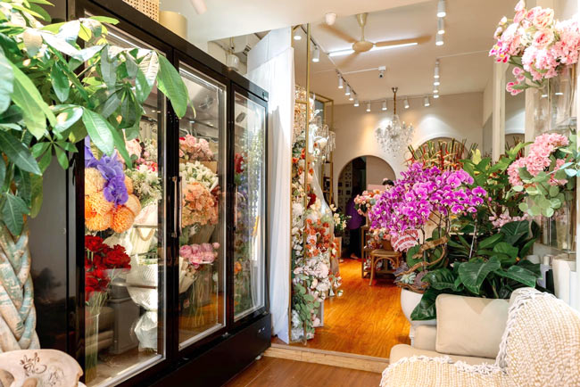 Trưng bày thu hút