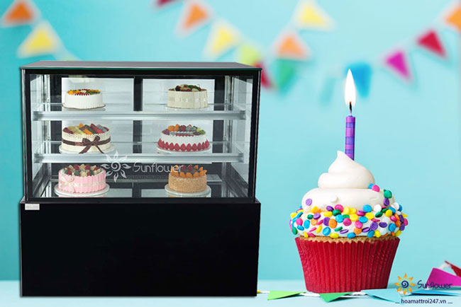 Tủ bánh kem Hoa Mặt Trời