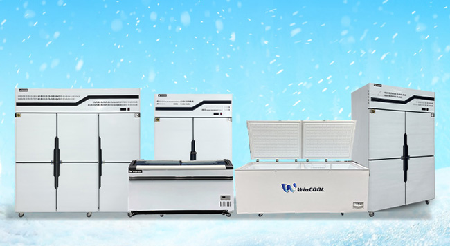 Tủ đông WinCool