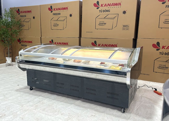 Tủ mát nằm ấn tượng