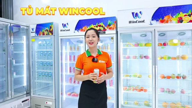 Tủ mát WinCool