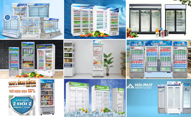 Các thương hiệu tủ mát Uy tín, Hàng chất lượng, Giá phải chăng