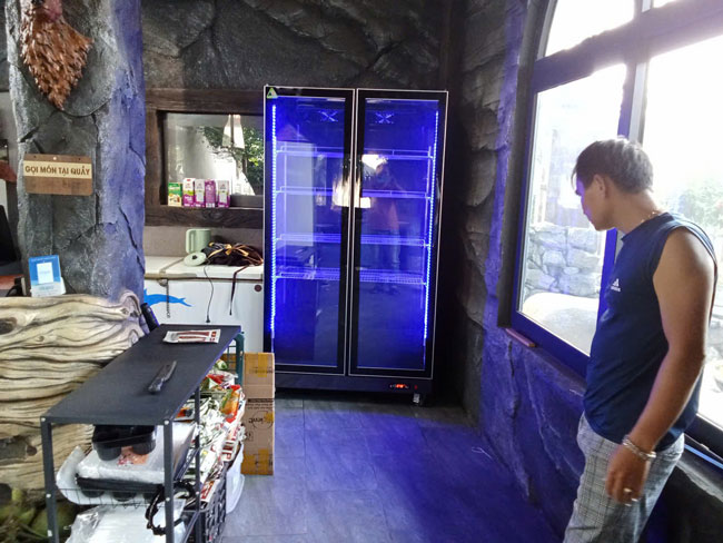 Tủ mát mua tại Huế giá phải chăng