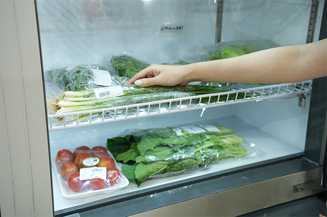 Lợi ích nổi bật của tủ mát cao cấp