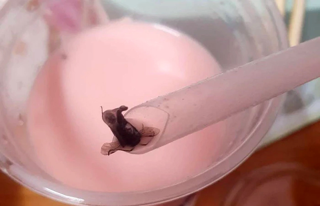 Kh&ocirc;ng đảm bảo an to&agrave;n vệ sinh thực phẩm