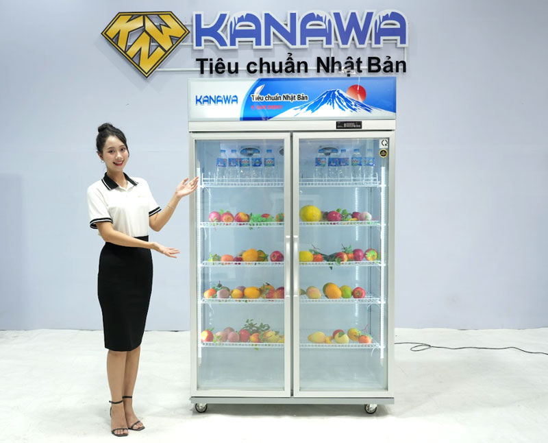 Tủ m&aacute;t dung t&iacute;ch 800L