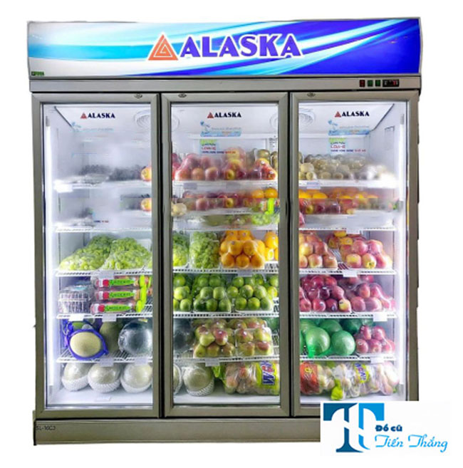 Tủ m&aacute;t cũ Tiến Thắng