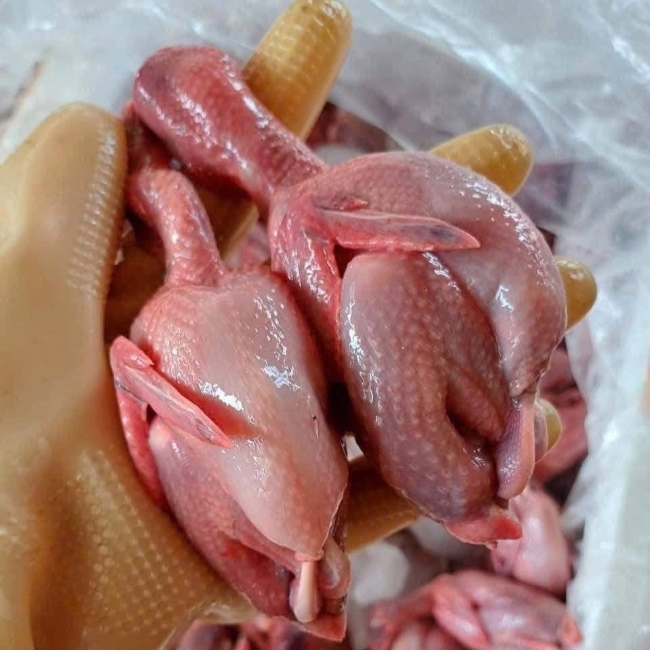 Th&agrave;nh phẩm m&aacute;y vặt l&ocirc;ng chim