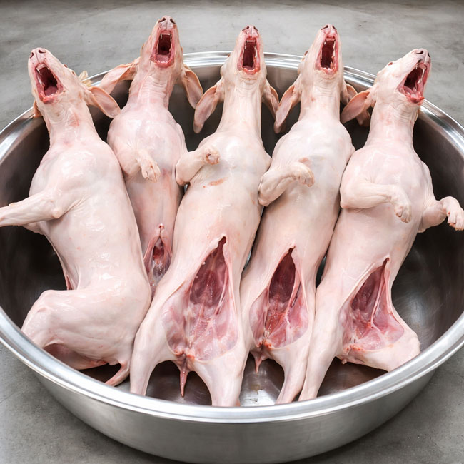 Thu hoạch th&agrave;nh phẩm ch&oacute; đ&atilde; vặt l&ocirc;ng