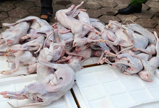 Tỷ lệ sạch ấn tượng